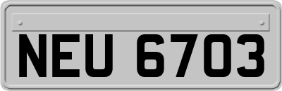 NEU6703