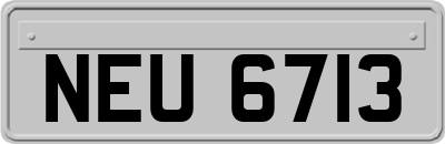 NEU6713