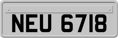 NEU6718