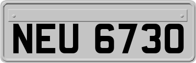 NEU6730