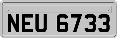 NEU6733