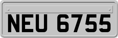 NEU6755