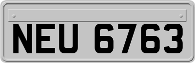 NEU6763