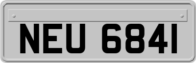 NEU6841