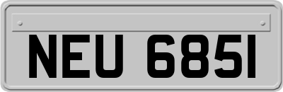 NEU6851