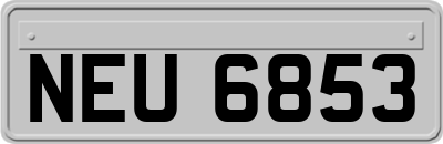 NEU6853