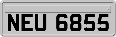 NEU6855