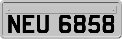 NEU6858