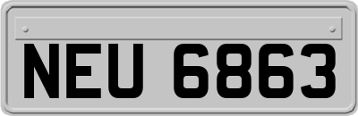 NEU6863