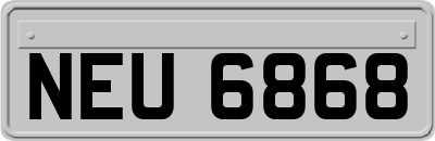 NEU6868