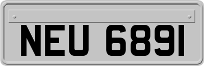 NEU6891