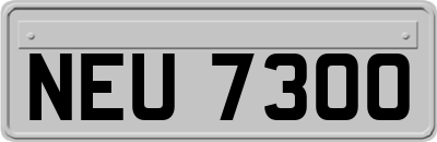 NEU7300