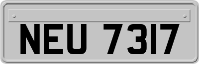 NEU7317