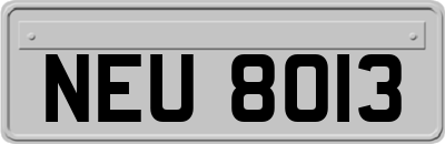 NEU8013