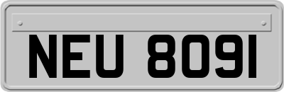 NEU8091