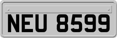 NEU8599