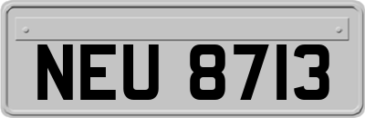 NEU8713