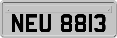 NEU8813