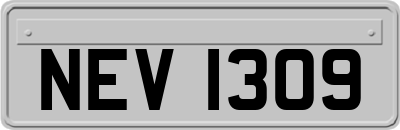 NEV1309