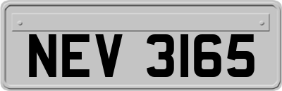 NEV3165