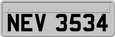 NEV3534