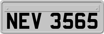 NEV3565