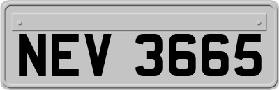 NEV3665