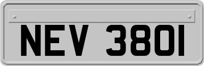 NEV3801