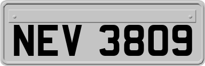 NEV3809