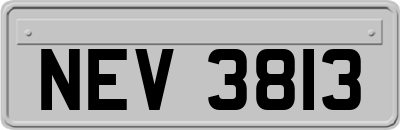 NEV3813