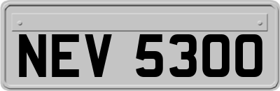 NEV5300