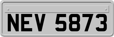 NEV5873