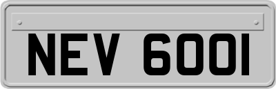 NEV6001