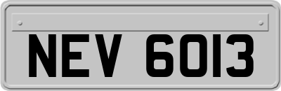 NEV6013