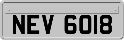 NEV6018