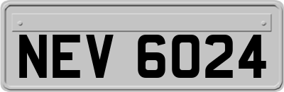 NEV6024