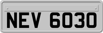 NEV6030