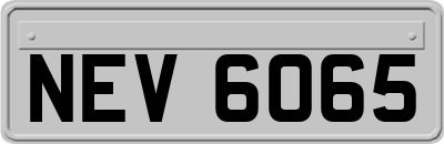 NEV6065