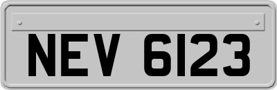 NEV6123