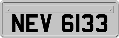 NEV6133