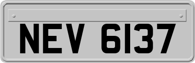 NEV6137