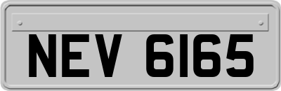 NEV6165