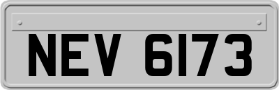 NEV6173