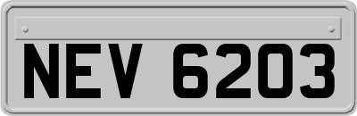 NEV6203