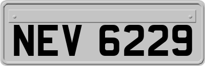 NEV6229