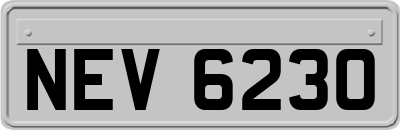 NEV6230