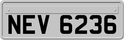 NEV6236