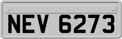 NEV6273