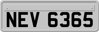 NEV6365