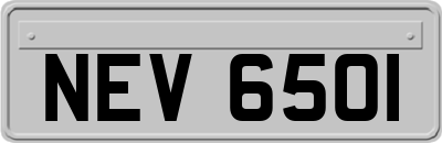 NEV6501